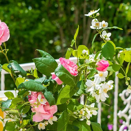 Apartament Bind Cavtat